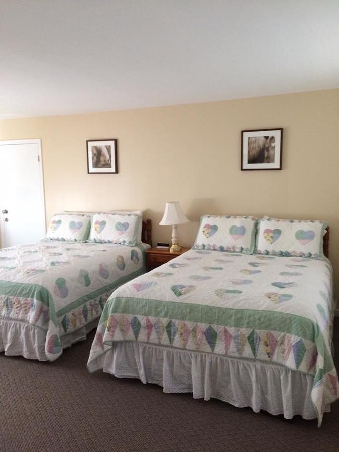Aerie Inn Of Vermont East Dorset ภายนอก รูปภาพ